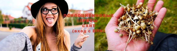 a pvp Алексеевка