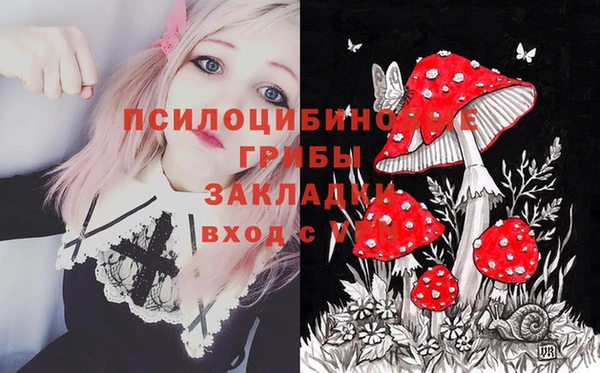 МДПВ Алексин