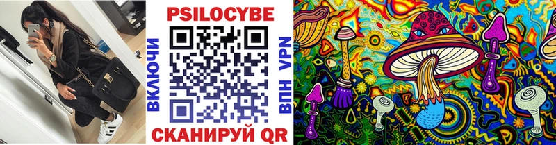 Псилоцибиновые грибы ЛСД  darknet наркотические препараты  Ахтубинск 