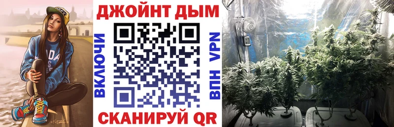 omg рабочий сайт  купить наркоту  Ахтубинск  Марихуана Amnesia 